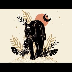 Meet your Posher, Jamison